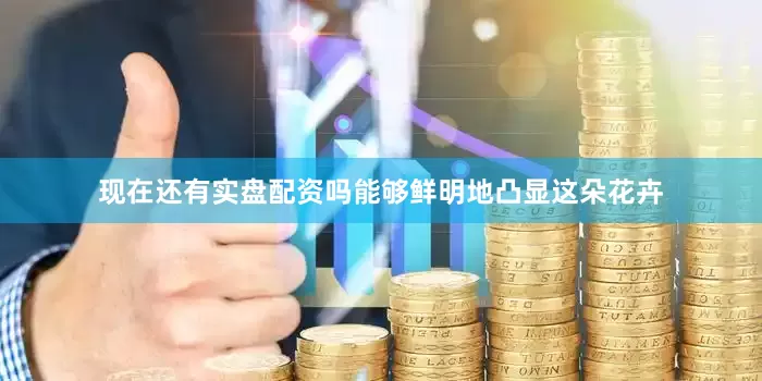 现在还有实盘配资吗能够鲜明地凸显这朵花卉