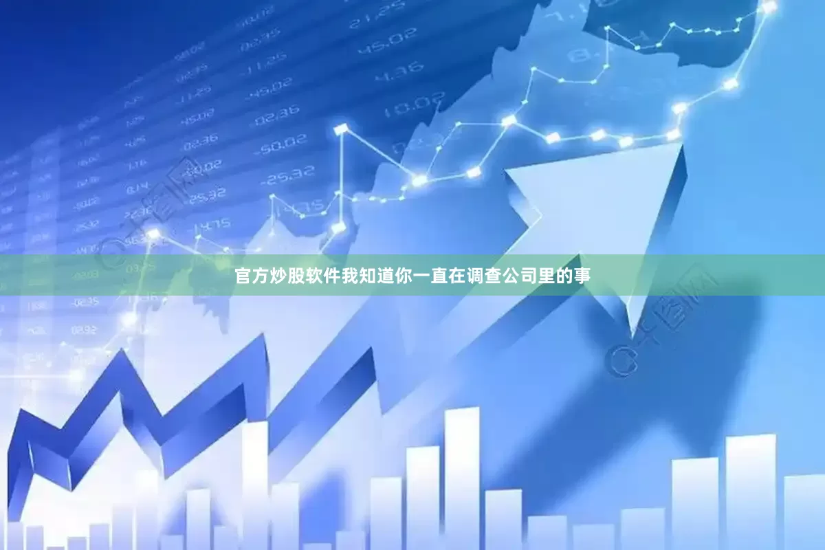 官方炒股软件我知道你一直在调查公司里的事
